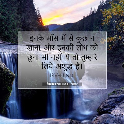 लैव्यव्यवस्था 11:8 बाइबल आयत की व्याख्या