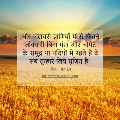लैव्यव्यवस्था 11:10 बाइबल आयत की व्याख्या