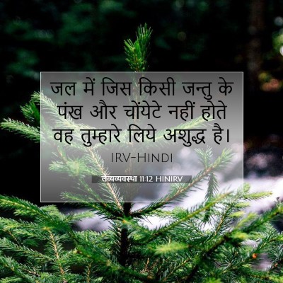 लैव्यव्यवस्था 11:12 बाइबल आयत की व्याख्या