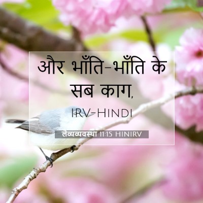 लैव्यव्यवस्था 11:15 बाइबल आयत की व्याख्या