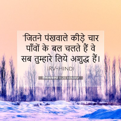लैव्यव्यवस्था 11:20 बाइबल आयत की व्याख्या