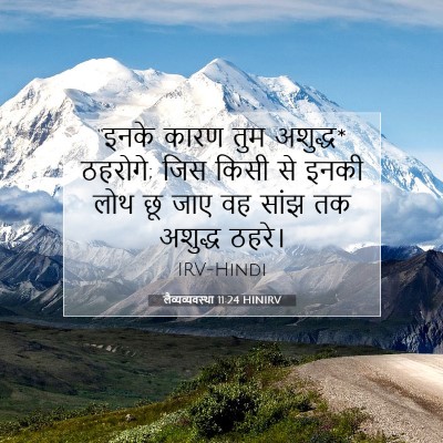 लैव्यव्यवस्था 11:24 बाइबल आयत की व्याख्या