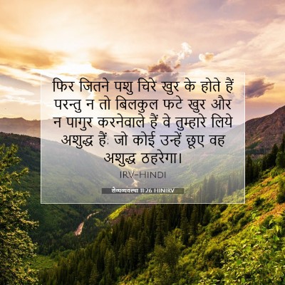 लैव्यव्यवस्था 11:26 बाइबल आयत की व्याख्या