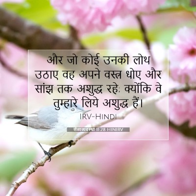 लैव्यव्यवस्था 11:28 बाइबल आयत की व्याख्या
