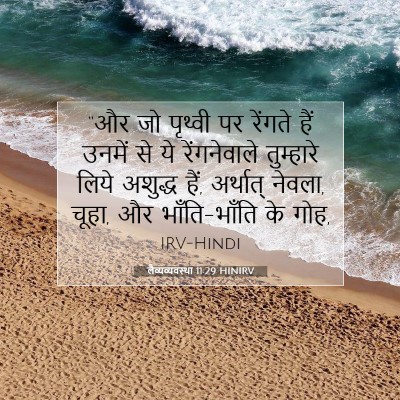 लैव्यव्यवस्था 11:29 बाइबल आयत की व्याख्या