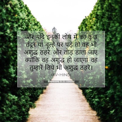 लैव्यव्यवस्था 11:35 बाइबल आयत की व्याख्या
