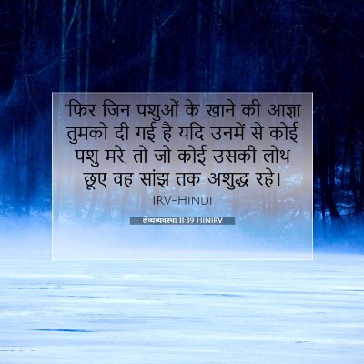लैव्यव्यवस्था 11:39 बाइबल आयत की व्याख्या