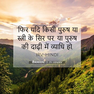 लैव्यव्यवस्था 13:29 बाइबल आयत की व्याख्या
