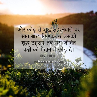 लैव्यव्यवस्था 14:7 बाइबल आयत की व्याख्या