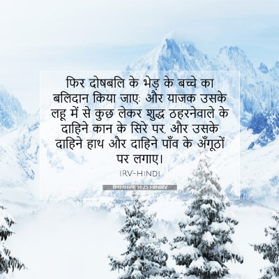लैव्यव्यवस्था 14:25 बाइबल आयत की व्याख्या