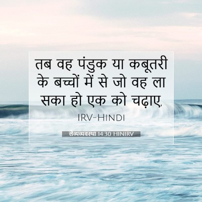 लैव्यव्यवस्था 14:30 बाइबल आयत की व्याख्या