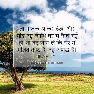 लैव्यव्यवस्था 14:44 बाइबल आयत की व्याख्या