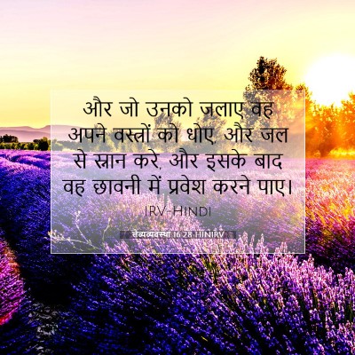 लैव्यव्यवस्था 16:28 बाइबल आयत की व्याख्या