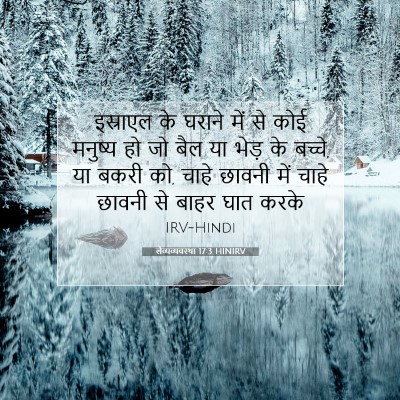 लैव्यव्यवस्था 17:3 बाइबल आयत की व्याख्या