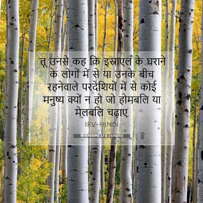 लैव्यव्यवस्था 17:8 बाइबल आयत की व्याख्या