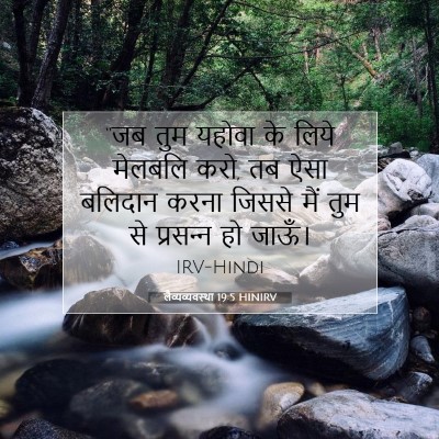 लैव्यव्यवस्था 19:5 बाइबल आयत की व्याख्या