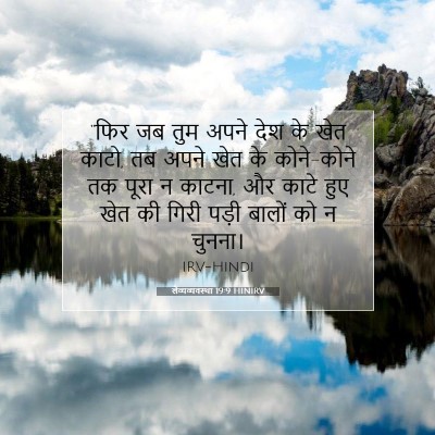 लैव्यव्यवस्था 19:9 बाइबल आयत की व्याख्या