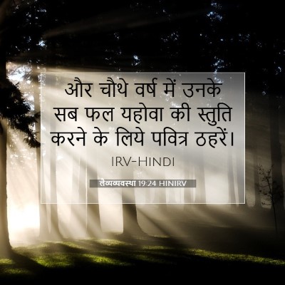 लैव्यव्यवस्था 19:24 बाइबल आयत की व्याख्या
