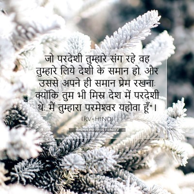 लैव्यव्यवस्था 19:34 बाइबल आयत की व्याख्या