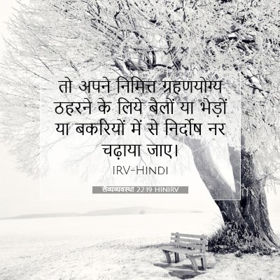 लैव्यव्यवस्था 22:19 बाइबल आयत की व्याख्या