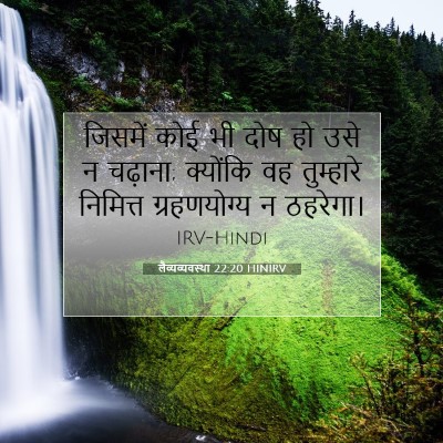 लैव्यव्यवस्था 22:20 बाइबल आयत की व्याख्या