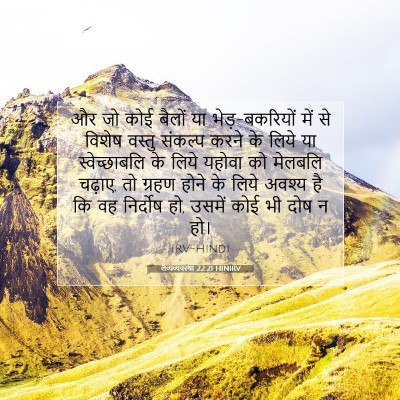 लैव्यव्यवस्था 22:21 बाइबल आयत की व्याख्या