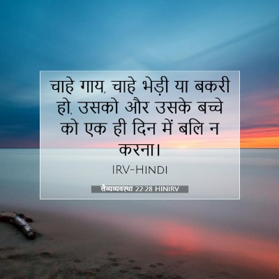 लैव्यव्यवस्था 22:28 बाइबल आयत की व्याख्या