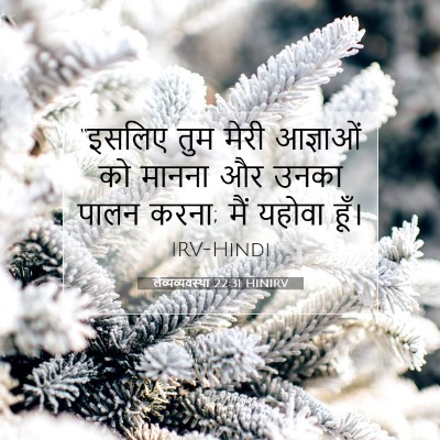 लैव्यव्यवस्था 22:31 बाइबल आयत की व्याख्या