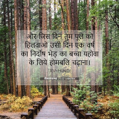 लैव्यव्यवस्था 23:12 बाइबल आयत की व्याख्या