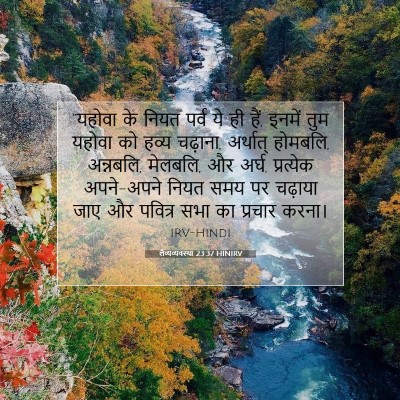 लैव्यव्यवस्था 23:37 बाइबल आयत की व्याख्या