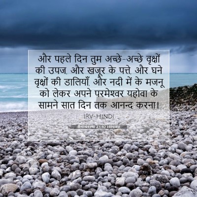 लैव्यव्यवस्था 23:40 बाइबल आयत की व्याख्या