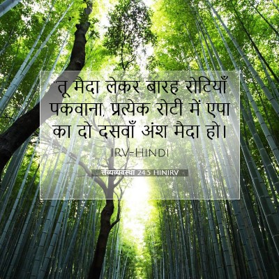 लैव्यव्यवस्था 24:5 बाइबल आयत की व्याख्या