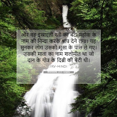 लैव्यव्यवस्था 24:11 बाइबल आयत की व्याख्या
