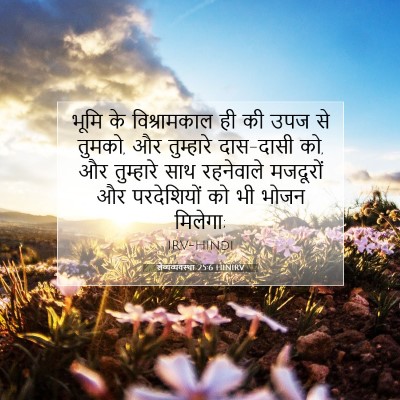 लैव्यव्यवस्था 25:6 बाइबल आयत की व्याख्या