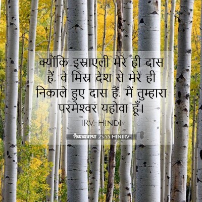 लैव्यव्यवस्था 25:55 बाइबल आयत की व्याख्या