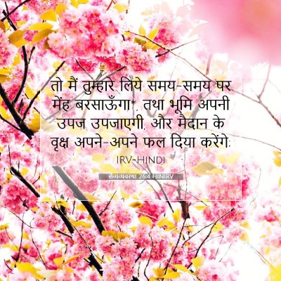लैव्यव्यवस्था 26:4 बाइबल आयत की व्याख्या