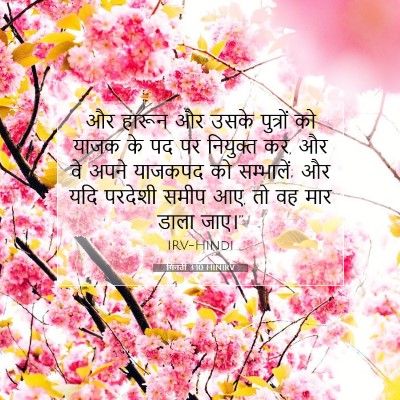 गिनती 3:10 HINIRV बाइबल आयत इमेज