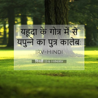 गिनती 13:6 HINIRV बाइबल आयत इमेज