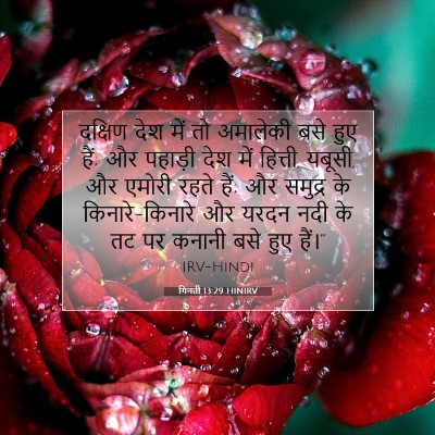गिनती 13:29 HINIRV बाइबल आयत इमेज