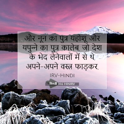 गिनती 14:6 HINIRV बाइबल आयत इमेज