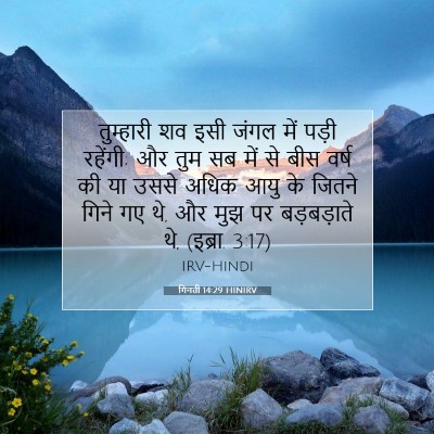 गिनती 14:29 बाइबल आयत की व्याख्या