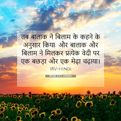 गिनती 23:2 बाइबल आयत की व्याख्या