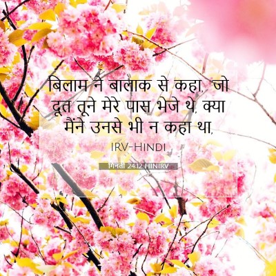 गिनती 24:12 बाइबल आयत की व्याख्या