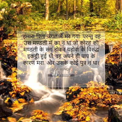 गिनती 27:3 बाइबल आयत की व्याख्या