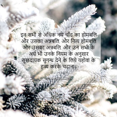गिनती 29:6 HINIRV बाइबल आयत इमेज