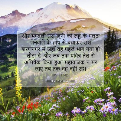 गिनती 35:25 HINIRV बाइबल आयत इमेज