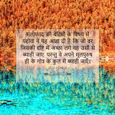 गिनती 36:6 बाइबल आयत की व्याख्या