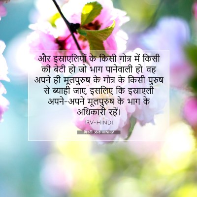 गिनती 36:8 बाइबल आयत की व्याख्या