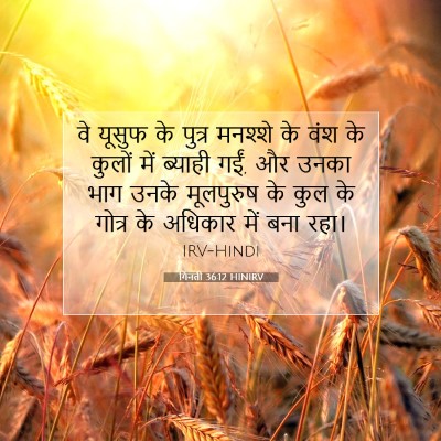गिनती 36:12 बाइबल आयत की व्याख्या