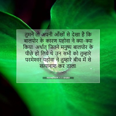 व्यवस्थाविवरण 4:3 HINIRV बाइबल आयत इमेज